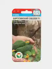 Баргузинский соболек огурец Сибирский сад