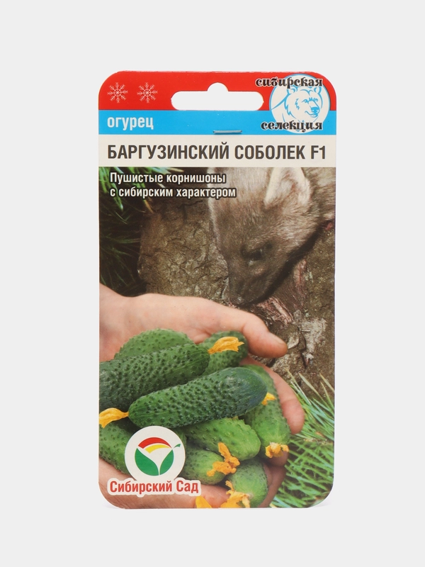Баргузинский соболек огурец Сибирский сад