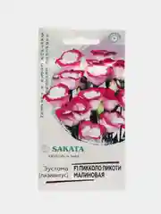 Эустома пикколо пикоти малиновая Гавриш