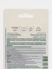 Астра китайская Хризантелла Цветок Лотоса Биотехника