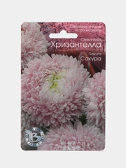 Астра китайская Хризантелла Сакура Биотехника