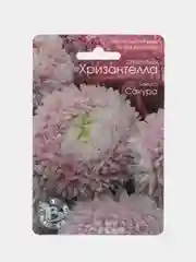 Астра китайская Хризантелла Сакура Биотехника
