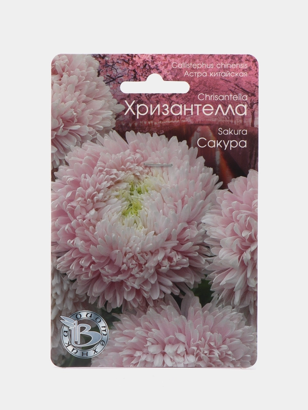 Астра китайская Хризантелла Сакура Биотехника