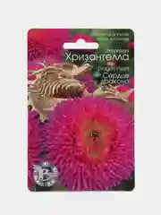 Астра китайская хризантелла сердце дракона Биотехника