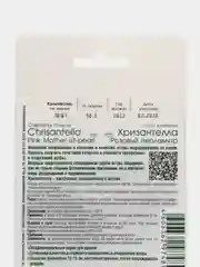 Астра Хризантелла "Розовый перламутр", семена цветов  Биотехника