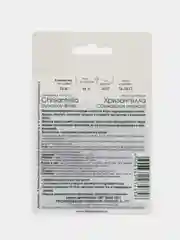 Астра китайская Хризантелла Сбежавшая невеста Биотехника
