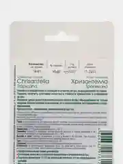 Астра Хризантелла Тропикана Биотехника