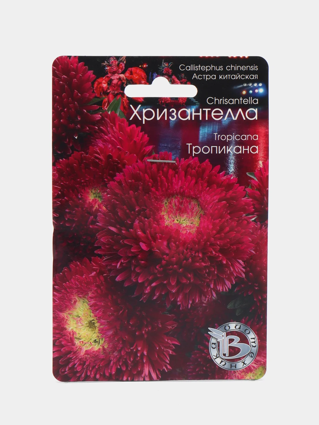 Астра Хризантелла Тропикана Биотехника