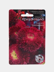 Астра Хризантелла Тропикана Биотехника