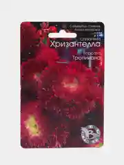 Астра Хризантелла Тропикана Биотехника