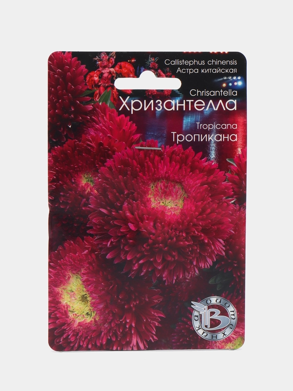 Астра Хризантелла Тропикана Биотехника