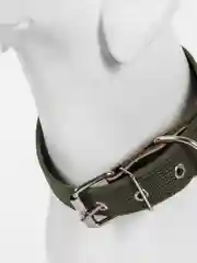 Хаки ошейник брезентовый для собак Обхват 42-55см, Длина 64см, Ширина 30мм