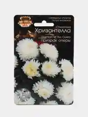 Астра китайская Хризантелла Призрак оперы Биотехника