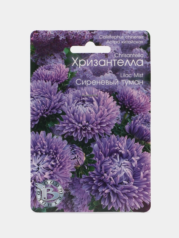Астра Хризантелла "Сиреневый туман", семена цветов Биотехника