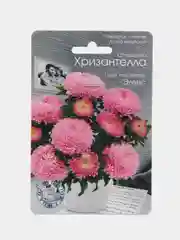 Астра Хризантелла Элвис Биотехника