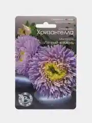 Астра китайская Хризантелла Лунный камень Биотехника