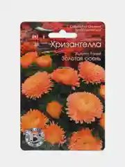Астра китайская Хризантелла Золотая осень Биотехника