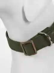 Хаки ошейник брезентовый для собак Цвет хаки, Обхват 15-50см, Длина 58см, Ширина 25мм, 2.5см
