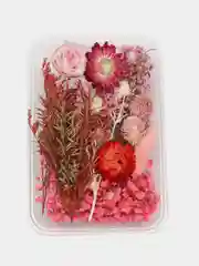 Фиолетовый сухоцветы в контейнере