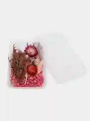 Фиолетовый сухоцветы в контейнере