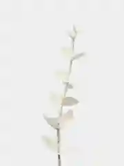Белый ветки эвкалипт а искусственные