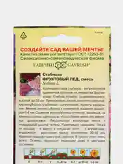 Семена Скабиоза пурпурная Фруктовый лед, смесь, 0,2 г, Гавриш, Цветочная коллекция