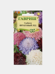 Семена Скабиоза пурпурная Фруктовый лед, смесь, 0,2 г, Гавриш, Цветочная коллекция