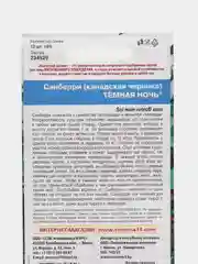 Санберри канадская Черника Темная ночь (семена)