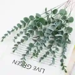 Ветки эвкалипт а искусственные