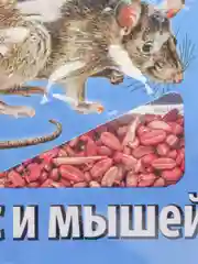 Зерно от крыс и мышей ЗООКУМАРИН+ Rubit
