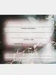 Лайм подарочные набор сертификаты 5 и 10 шт на услуги/сумму/товар с конвертом/подарок