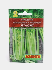 Семена Сельдерей черешковый среднеспелый Атлант, 0,5 г