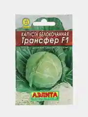 Капуста "Трансфер", семена