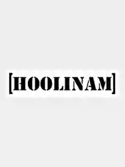 Белый наклейка на авто / машину / стекло "HOOLINAM" 25х5см