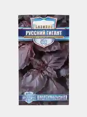 Базилик "Русский Гигант" (семена)