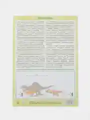 Терракотовый наклейки тематические. Набор наклеек. Стикеры. Многоразовые. Раскраска. Для детей с 3 лет