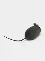 Разноцветный набор игрушек для кошки, шарик, мышка
