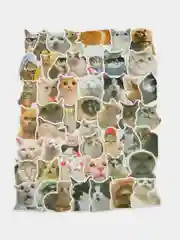 Белый стикеры-наклейки "Мемы", "Коты", 50 штук, стикерпак, на телефон, для детей и творчества