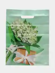 Салатовый пакет подарочный полиэтиленовый, средний, размер 31 х 40 см. плотность 60 мкм, 1шт, 3шт