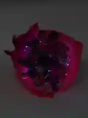 Готовый!Светящийся букет из бабочек