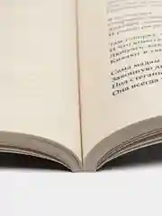 Смех сквозь слезы. Избранные стихотворения. Черный Саша, сост. Рожникова Е.Л