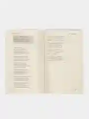 Смех сквозь слезы. Избранные стихотворения. Черный Саша, сост. Рожникова Е.Л