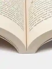 Лесков Н.С. Леди Макбет Мценского уезда. Ги де Мопассан. Ожерелье. А. И. Куприн. Олеся