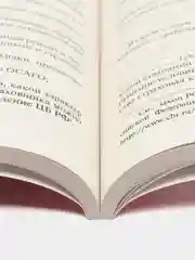 Как написать жалобу: образцы с комментариями на все случаи жизни.Сборник