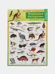 Зеленый наклейки тематические. Набор наклеек. Стикеры. Многоразовые. Раскраска. Для детей с 3 лет