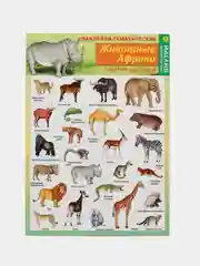 Золотой наклейки тематические. Набор наклеек. Стикеры. Многоразовые. Раскраска. Для детей с 3 лет
