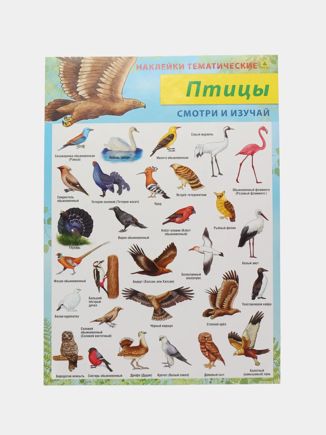Лайм наклейки тематические. Набор наклеек. Стикеры. Многоразовые. Раскраска. Для детей с 3 лет