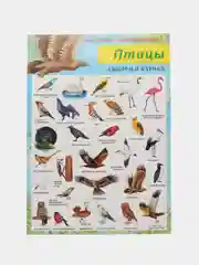 Лайм наклейки тематические. Набор наклеек. Стикеры. Многоразовые. Раскраска. Для детей с 3 лет