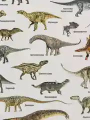 Оливковый наклейки тематические. Набор наклеек. Стикеры. Многоразовые. Раскраска. Для детей с 3 лет