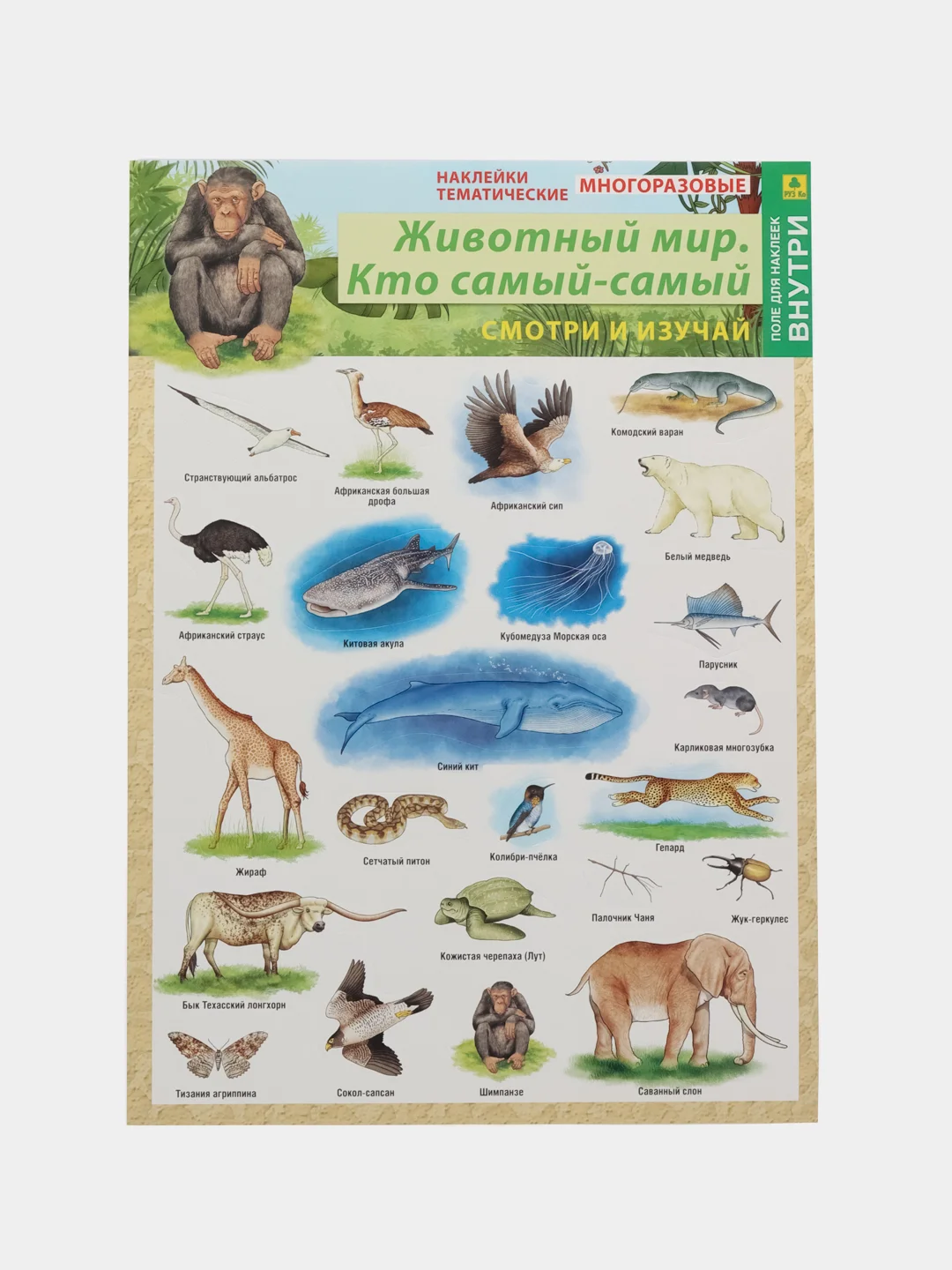 Серый наклейки тематические. Набор наклеек. Стикеры. Многоразовые. Раскраска. Для детей с 3 лет